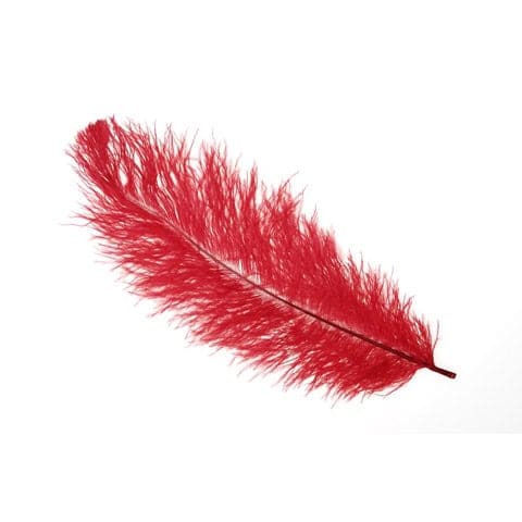 images Feathers Red - Image 1