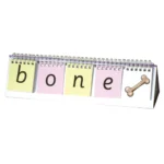 LT76 Split Digraph Phoneme Flip Stand (Phase 5)