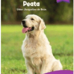 PI2222 Léigh Liom Level 8 Purple Pack (5 Books) Folens