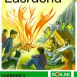 11682 Soilse - Leasbhar 4 Lasracha