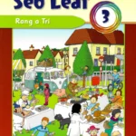 9780714423593 Seo Leat 3 CJ Fallon
