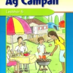 Ag Campáil - Leabhar 6 CJ Fallon