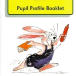 ABC... Belfield Infant Assessment Profile